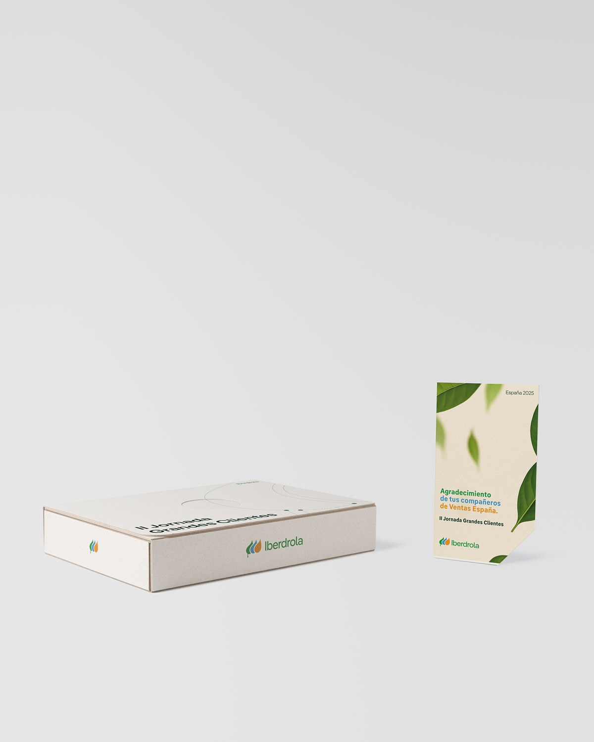 Estuche trofeo personalizado placa conmemorativa Sustain Awards